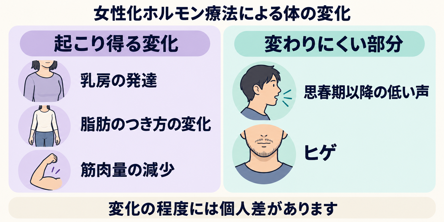 女性化ホルモン療法で起こり得る乳房の発達・脂肪分布の変化・筋肉量の減少と、変わりにくい低い声・ヒゲの比較